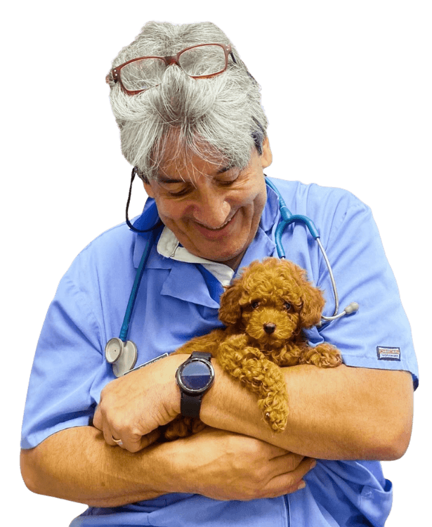 Veterinarian-holding-a-puppy