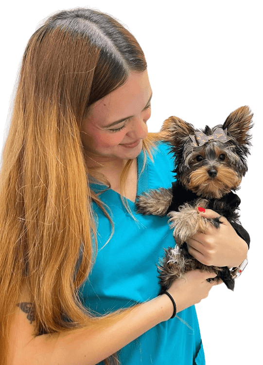 Veterinary Staff holding a small dog with a bow