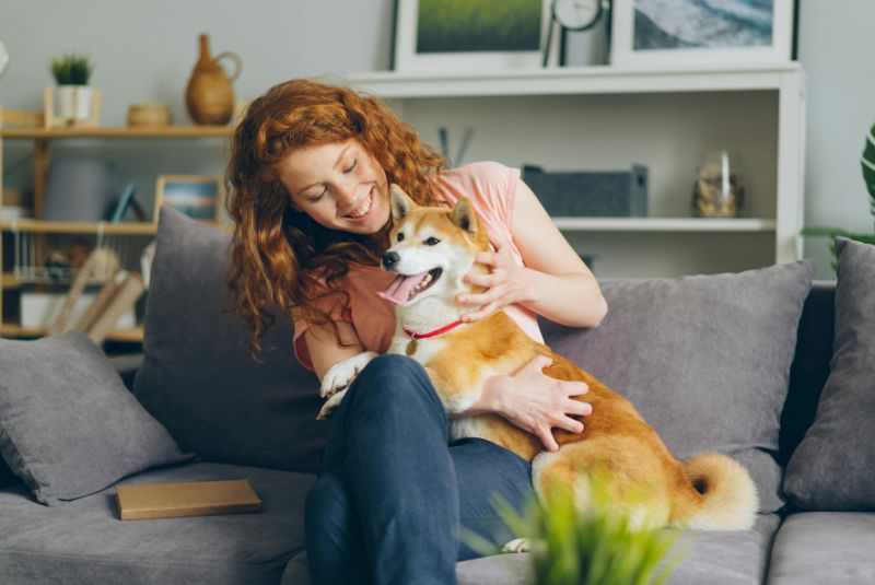 Woman petting her Shiba Inu