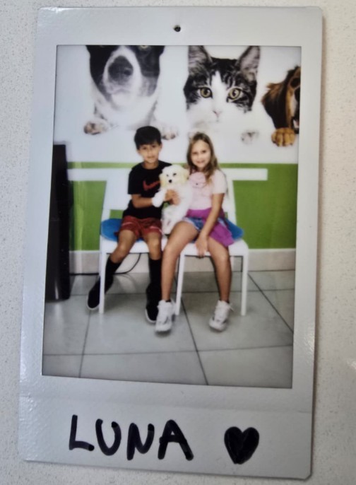 children holding toy dogs