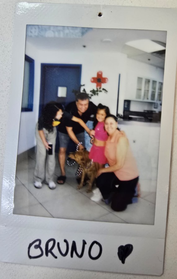family with dog bruno