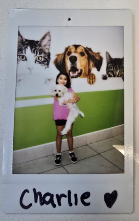 girl holding white dog