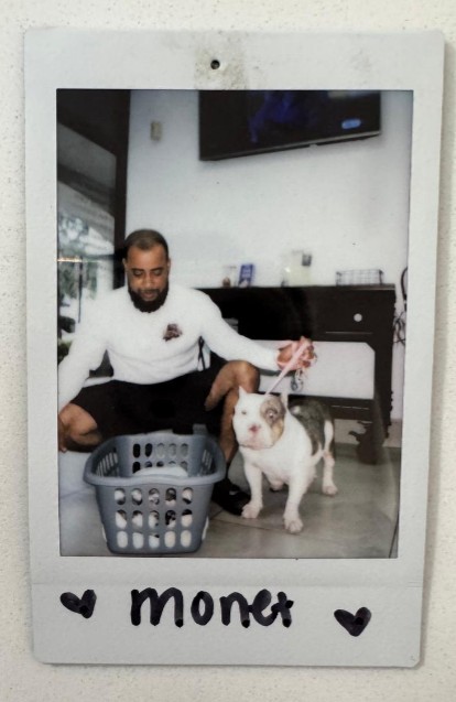 man puppy laundry basket