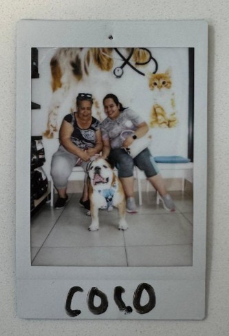 two women bulldog vet