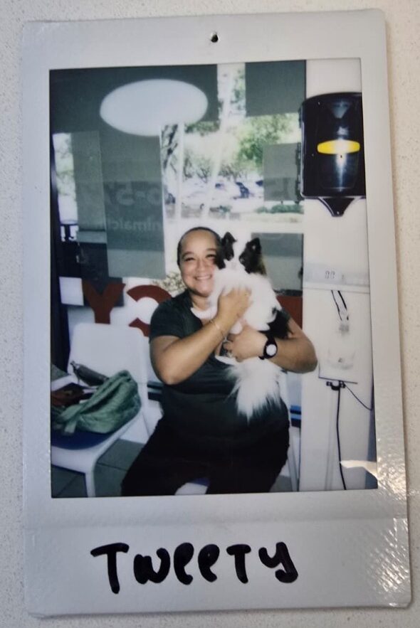 woman holding small dog