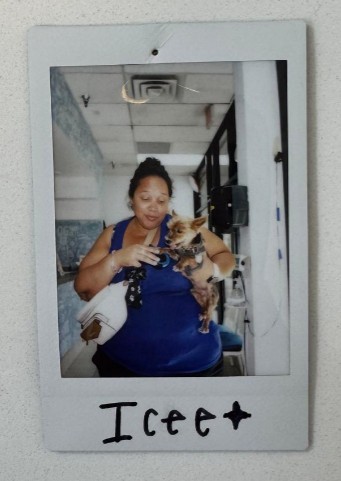 woman holding small dog-1