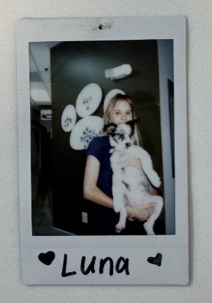 woman holding small dog