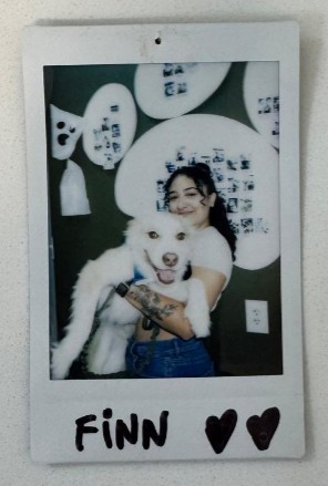 woman holding white dog