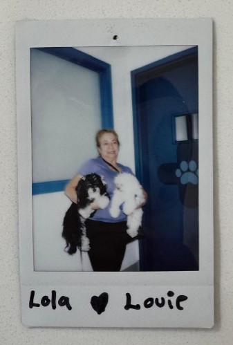 woman holds adorable puppies polaroid