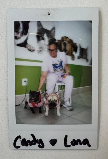 woman with two french bulldogs